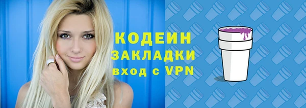 прущий лед Каменка
