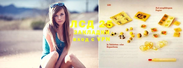 прущий лед Каменка