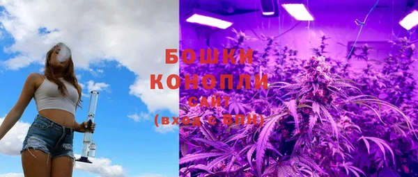 прущий лед Каменка
