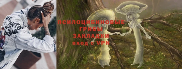 прущий лед Каменка