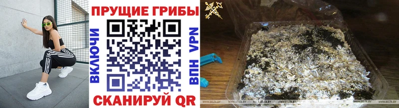 Галлюциногенные грибы ЛСД  Клинцы 