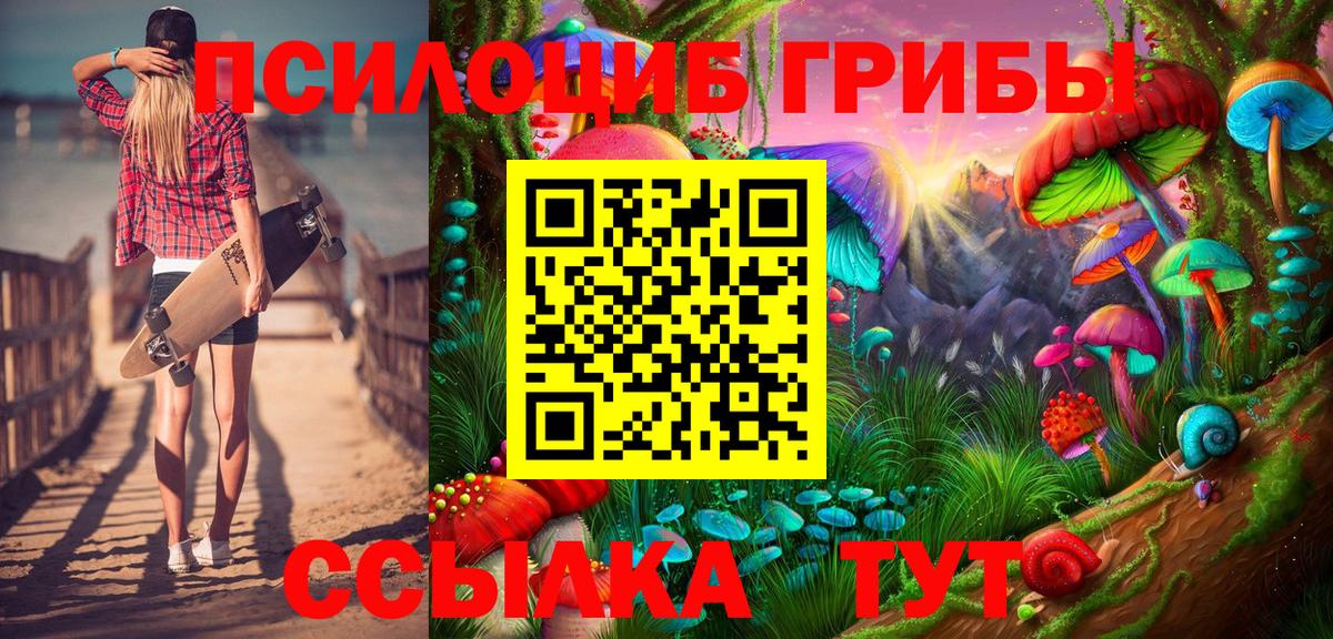 Клинцы  Псилоцибиновые грибы ЛСД  Псилоцибиновые грибы мицелий  наркота  Вход с VPN 