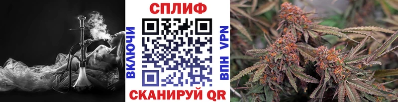 Конопля ГИДРОПОН Клинцы